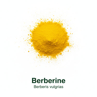 Metabolic Balance & Gut Health