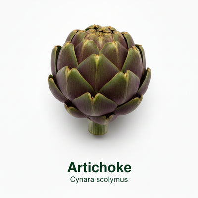 Fat Processing Support