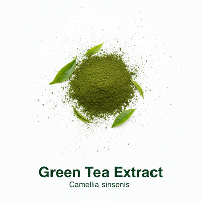 Cellular Protection & Energy