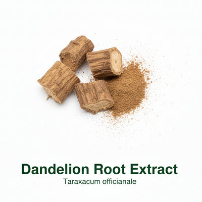 Digestive Comfort & Flow