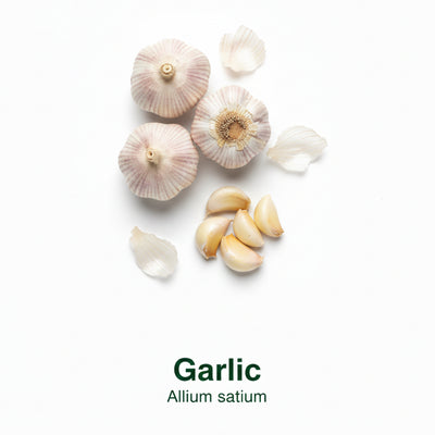 Heart & Cholesterol Support